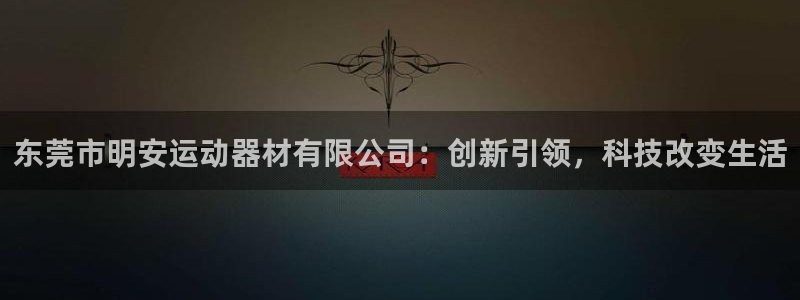 意昂4娱乐平台：东莞市明安运动器材有限公司：创新引领
