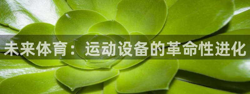 意昂4娱乐代理怎么样：未来体育：运动设备的革命性进化