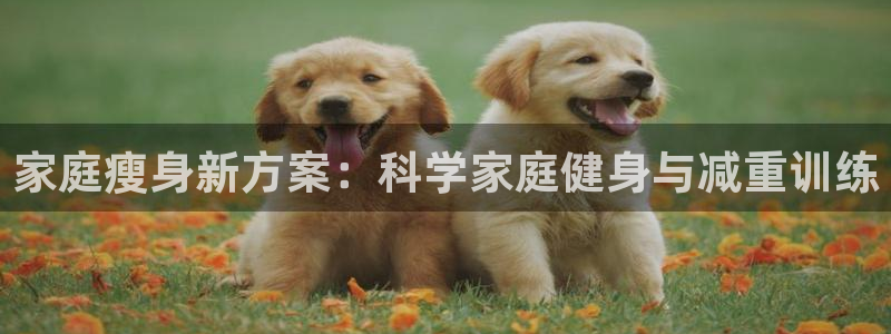 德国意昂4集团：家庭瘦身新方案：科学家庭健身与减重训