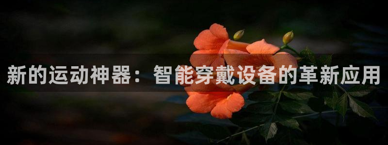 注册意昂4：新的运动神器：智能穿戴设备的革新应用