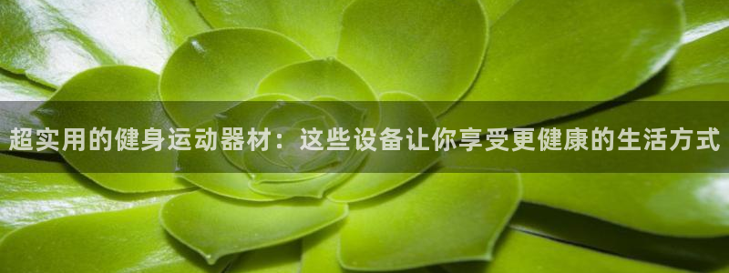意昂体育4平台假的吗是真的吗：超实用的健身运动器材：