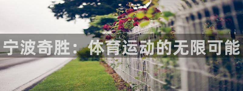 意昂4科技：宁波奇胜：体育运动的无限可能