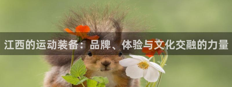 意昂4集团：江西的运动装备：品牌、体验与文化交融的力