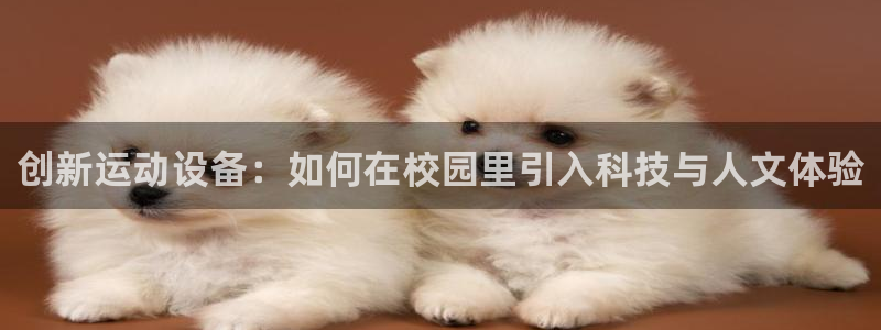 意昂4娱乐平台：创新运动设备：如何在校园里引入科技与