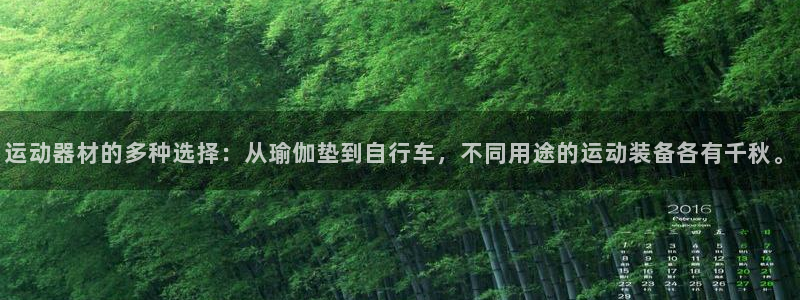 海南意昂体育4：运动器材的多种选择：从瑜伽垫到自行车