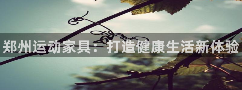 意昂4娱乐首页网站大全：郑州运动家具：打造健康生活新