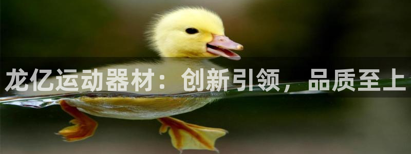 意昂体育4招商电话号码是多少啊：龙亿运动器材：创新引