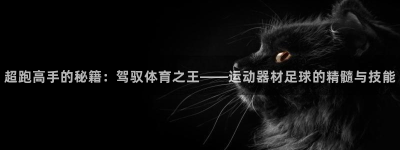 意昂体育4平台注册要钱吗是真的吗：超跑高手的秘籍：驾
