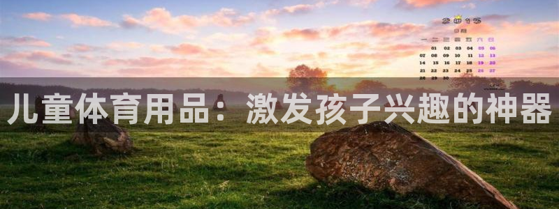 意昂体育4平台注册要钱吗安全吗：儿童体育用品：激发孩