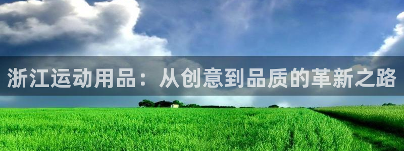 意昂4集团E.ON：浙江运动用品：从创意到品质的革新