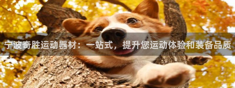 意昂4代理：宁波奇胜运动器材：一站式，提升您运动体验