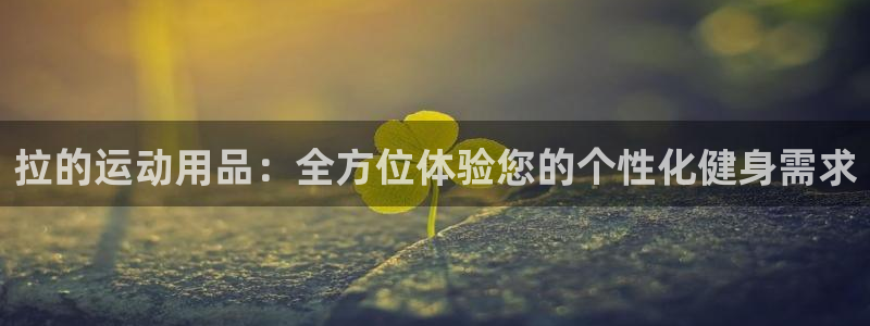 意昂体育4平台注册：拉的运动用品：全方位体验您的个性化健身需