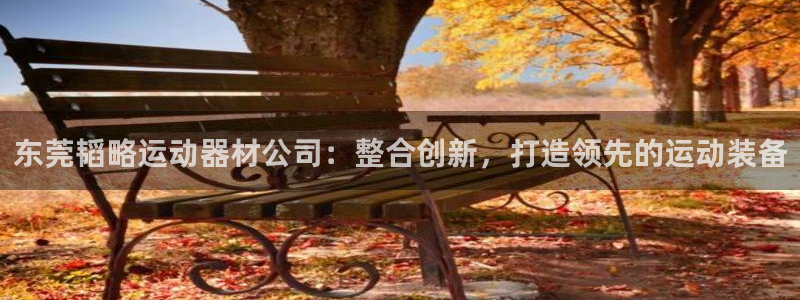 意昂体育4平台注册流程视频：东莞韬略运动器材公司：整
