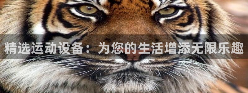 意昂4集团官网网址：精选运动设备：为您的生活增添无限