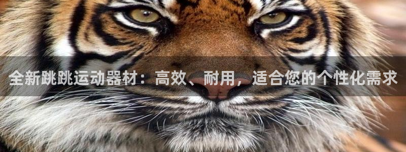 意昂体育4招商电话地址是多少：全新跳跳运动器材：高效