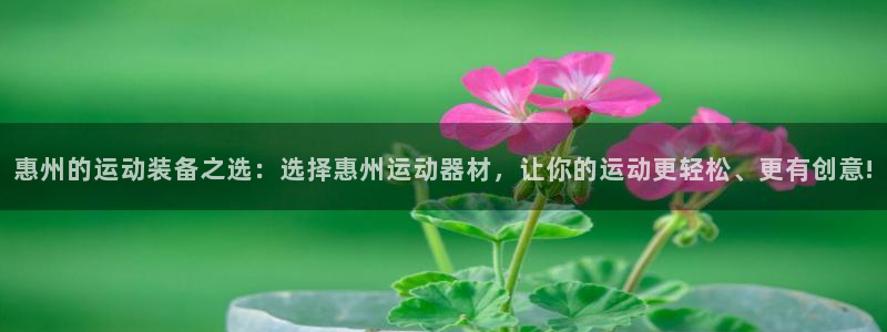 德国意昂4集团：惠州的运动装备之选：选择惠州运动器材