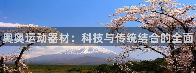 意昂体育4平台是正规平台吗安全吗：奥奥运动器材：科技与传统结