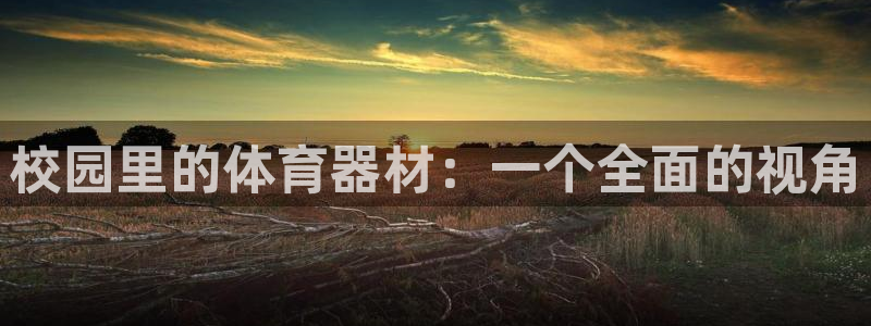 意昂体育4平台是正规平台吗：校园里的体育器材：一个全面的视角