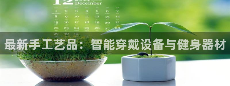 意昂体育4开户：最新手工艺品：智能穿戴设备与健身器材