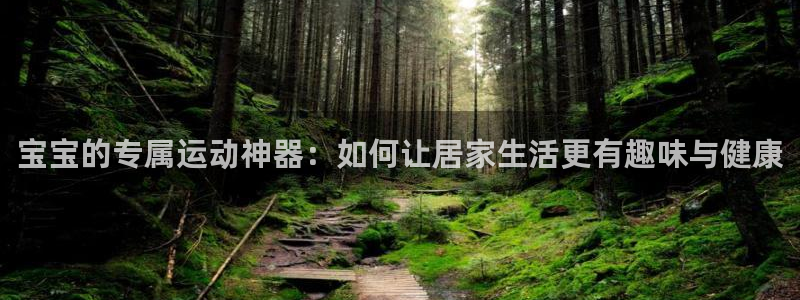 意昂体育4开户：宝宝的专属运动神器：如何让居家生活更有趣味与