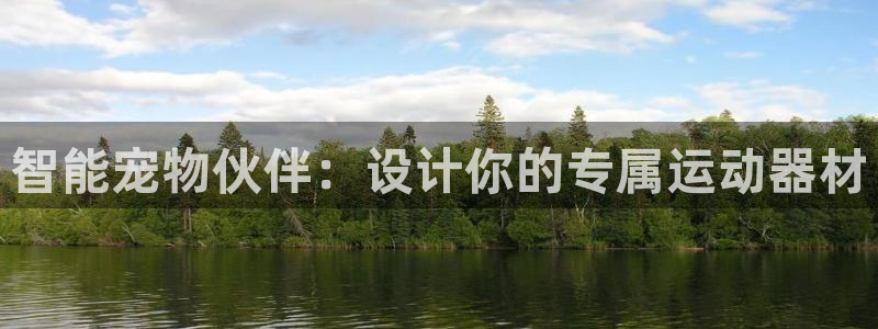 意昂体育4招商电话地址：智能宠物伙伴：设计你的专属运动器材