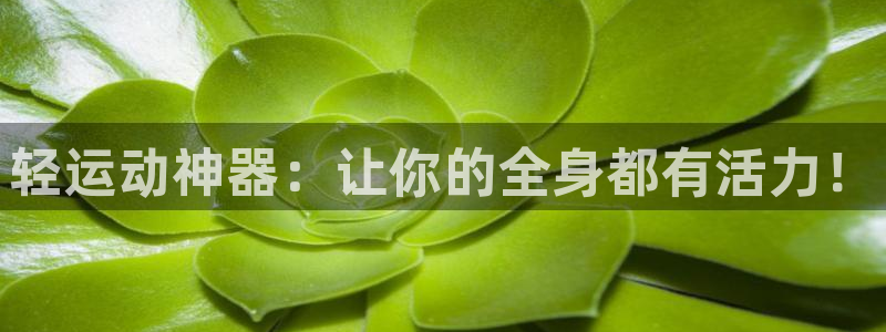 意昂4娱乐代理怎么样：轻运动神器：让你的全身都有活力！