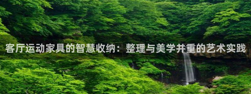 意昂4五金厂：客厅运动家具的智慧收纳：整理与美学并重