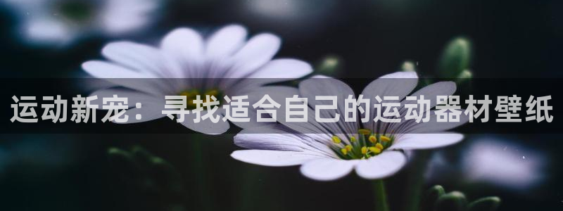 意昂体育4平台注册要钱吗安全吗：运动新宠：寻找适合自