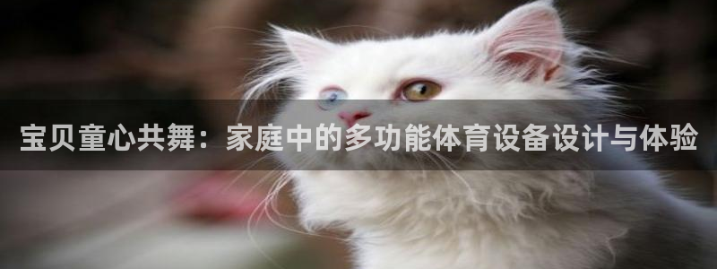 意昂4集团官网首页网址：宝贝童心共舞：家庭中的多功能