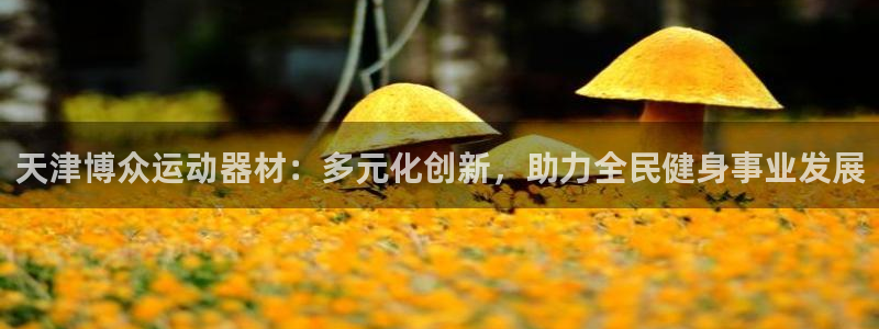 意昂体育4平台是正规平台吗：天津博众运动器材：多元化