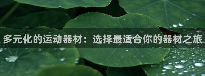 意昂体育4平台假的吗是真的吗吗