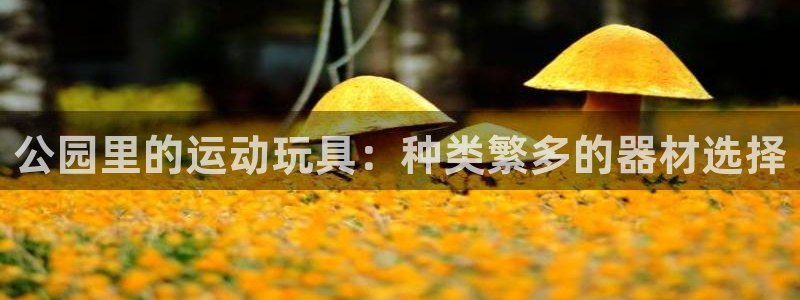 意昂体育4招商电话是多少：公园里的运动玩具：种类繁多
