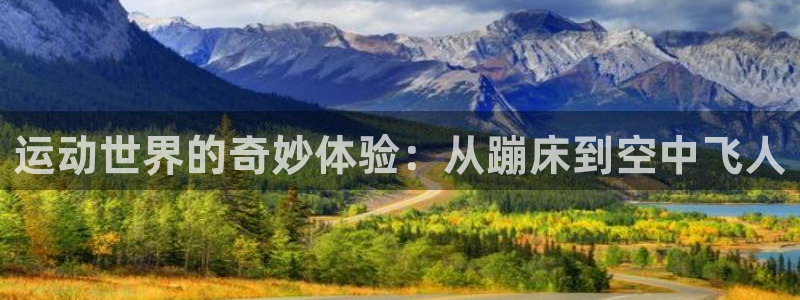 意昂4代理：运动世界的奇妙体验：从蹦床到空中飞人