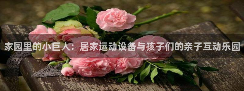 意昂体育4平台注册要钱吗：家园里的小巨人：居家运动设
