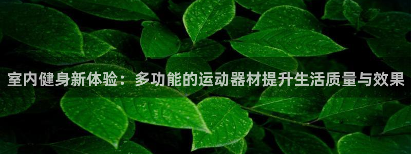 意昂体育4招商电话号码查询：室内健身新体验：多功能的