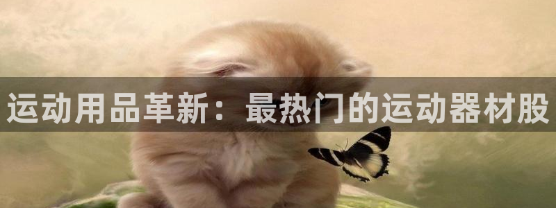 意昂体育4平台注册流程图：运动用品革新：最热门的运动