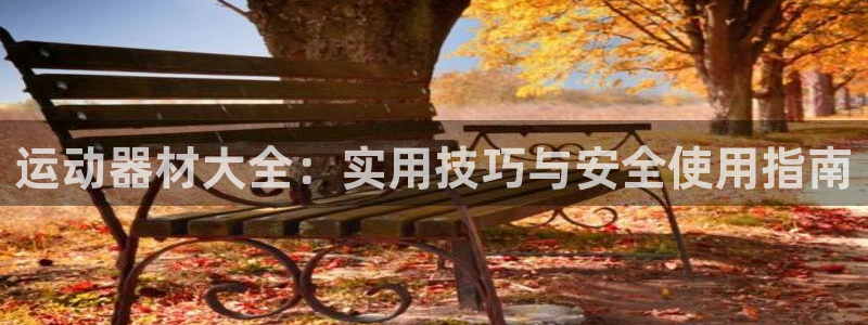 意昂4新能源：运动器材大全：实用技巧与安全使用指南