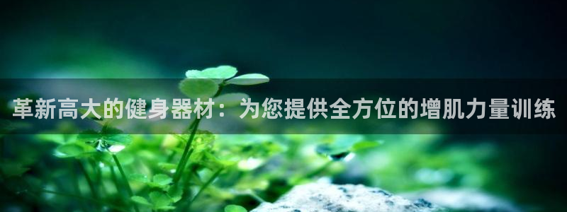 意昂体育4是干嘛的公司：革新高大的健身器材：为您提供