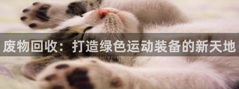 意昂体育4平台：废物回收：打造绿色运动装备的新天地
