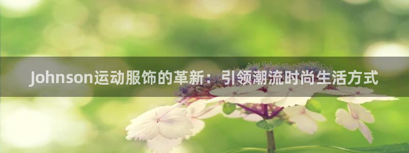 意昂体育4联系电话：Johnson运动服饰的革新：引