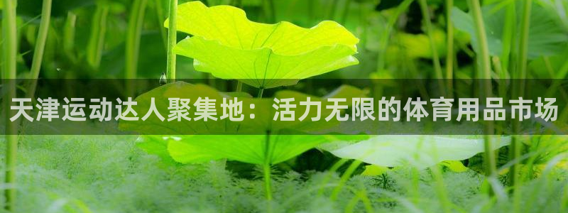 意昂体育4招商电话是多少：天津运动达人聚集地：活力无