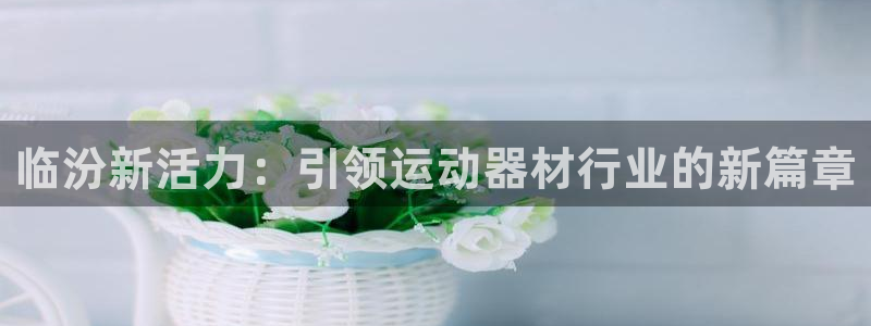 意昂4官方：临汾新活力：引领运动器材行业的新篇章