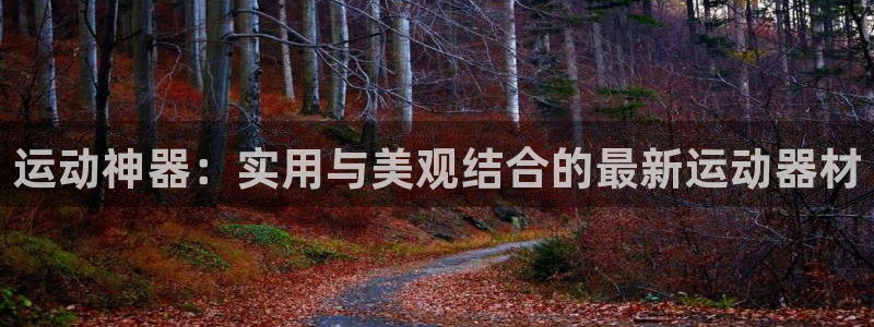 意昂体育4招商电话号码查询：运动神器：实用与美观结合