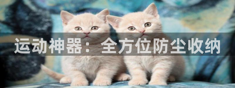 意昂体育4平台假的吗是真的吗吗：运动神器：全方位防尘