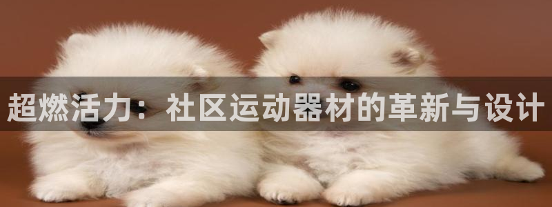 意昂4娱乐首页网站大全：超燃活力：社区运动器材的革新