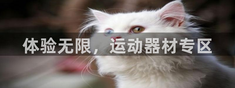 意昂体育4平台假的吗是真的吗：体验无限，运动器材专区
