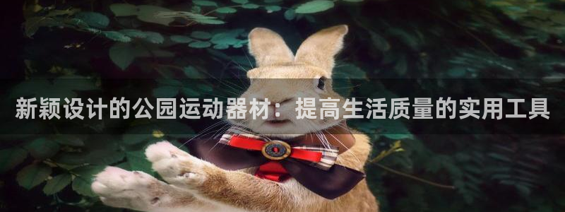 意昂体育4注册：新颖设计的公园运动器材：提高生活质量
