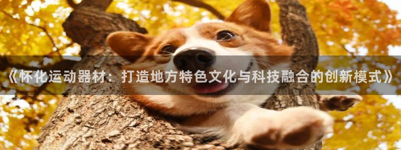 意昂体育4平台：《怀化运动器材：打造地方特色文化与科