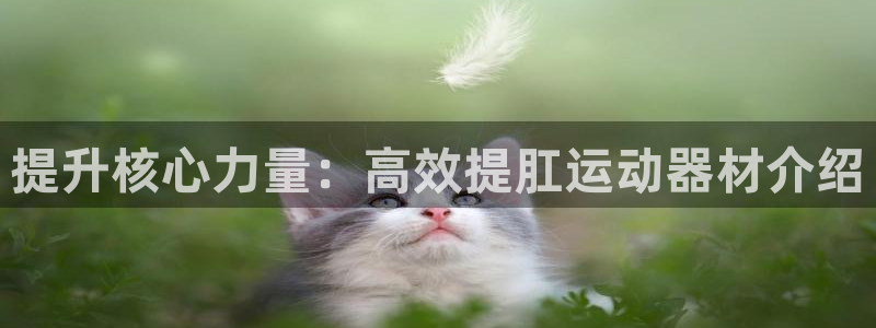 意昂4神州：提升核心力量：高效提肛运动器材介绍