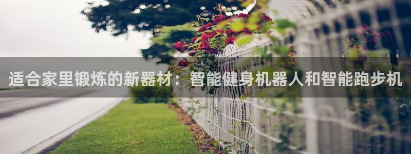 海南意昂体育4：适合家里锻炼的新器材：智能健身机器人